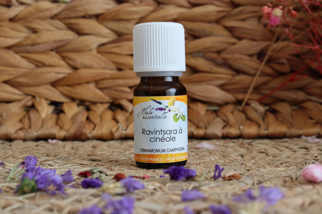 Huile Essentielle Ravintsara à Cineole BIO (Cinnamomun Camphora) 10ml