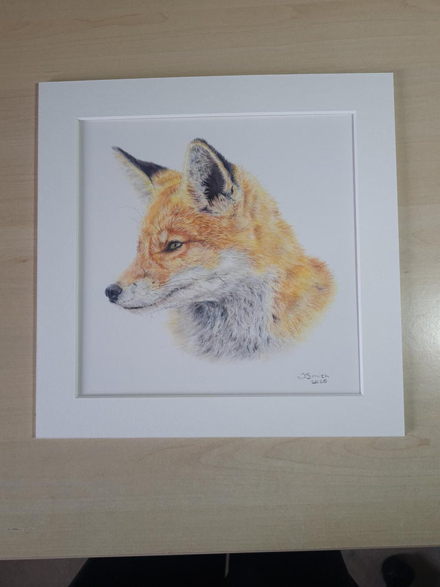 Fox Original Drawing