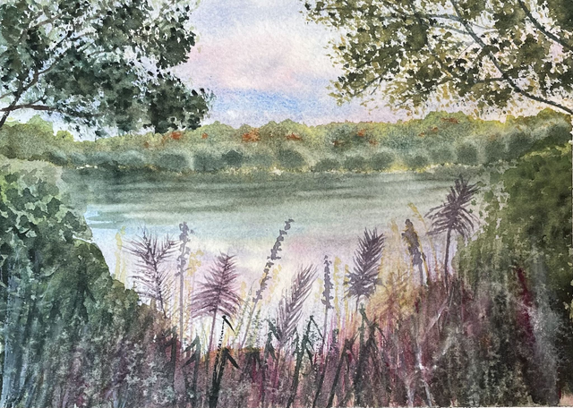 Astbury Mere - Hidden Beauty