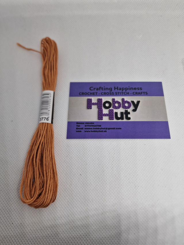 Embroidery Thread - 3776