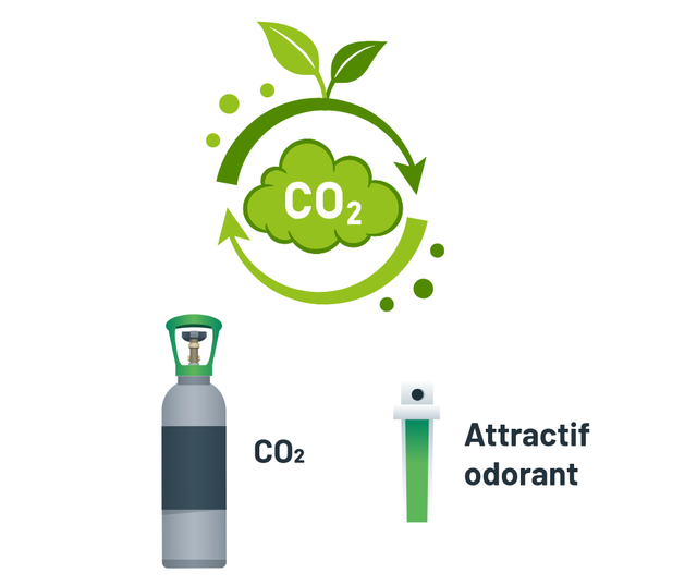 Forfait mensuel Standard