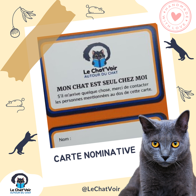 Carte nominative "Mon chat est seul chez moi"
