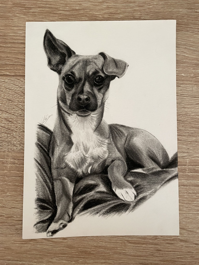 ♡ Portrait A5 noir et blanc