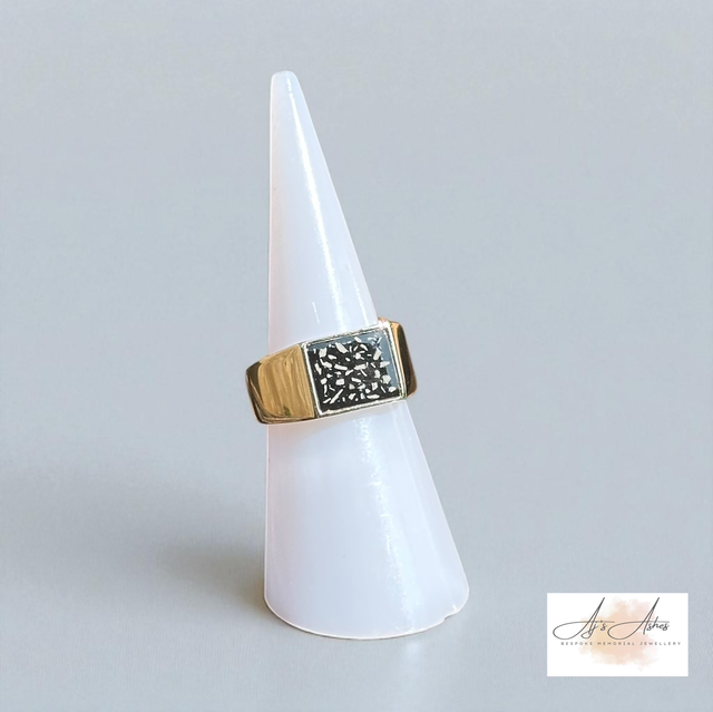 Rectanguar signet 9k Gold