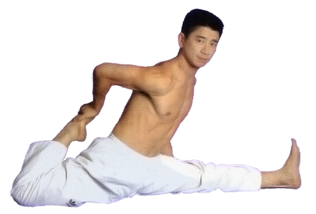 SPORT SANTE COTISATION ANNUELLE