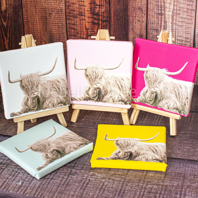 Highland Cow Canvas - 10cm x 10cm Hand Made complete with gift box