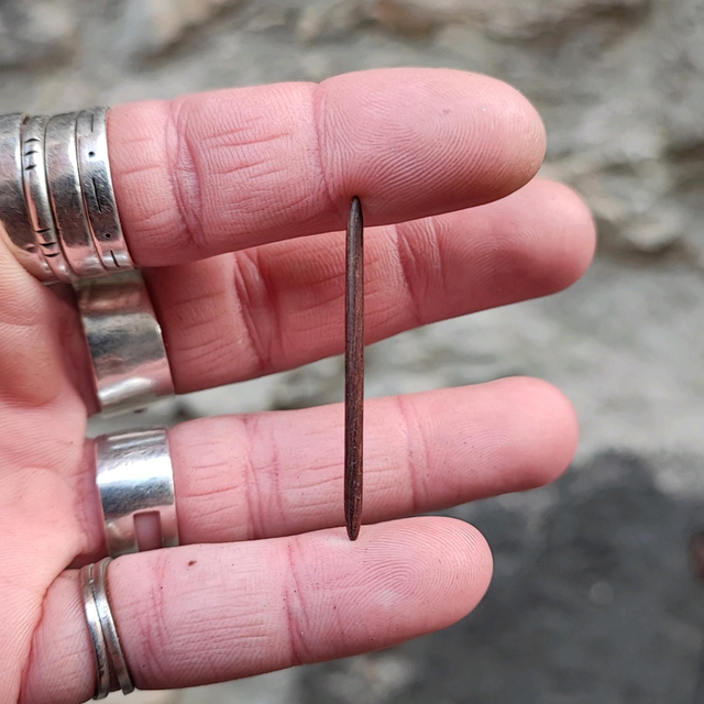 Barre de Piercing pour Nombril en Bois de Pao Roxo