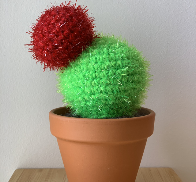 Cactus Sonia "piquant"