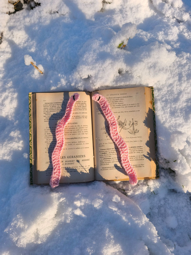 Marque-page ver de terre