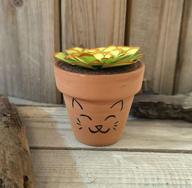 Baby plante "Chat"