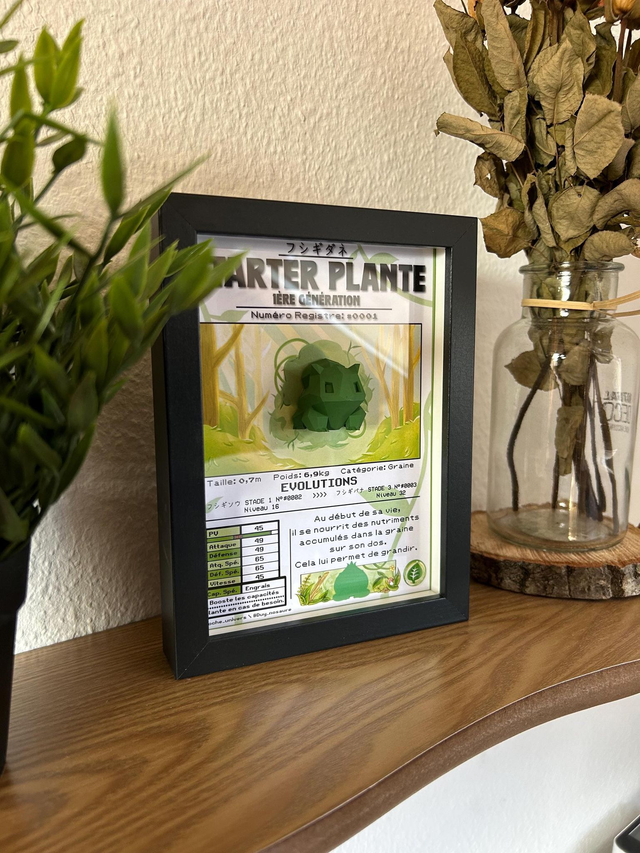 Starter Plante Cadre 3D – Illustration originale &amp; impression 3D Peinte 