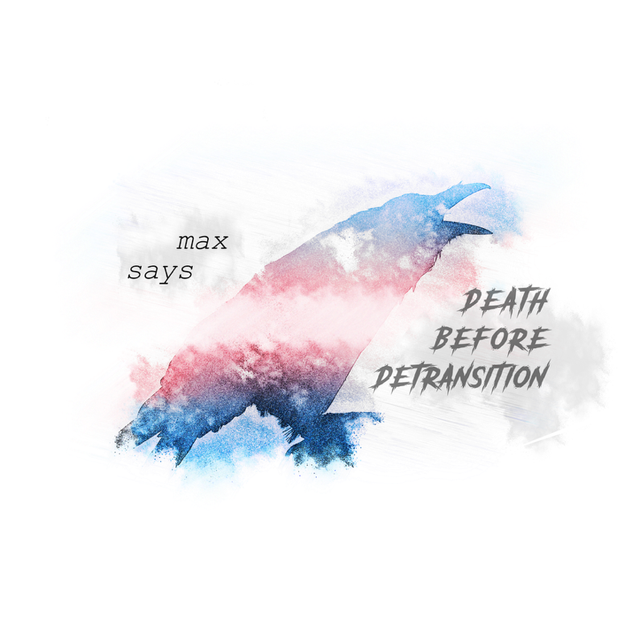 max says: DEATH BEFORE DETRANSITION - A5 Poster