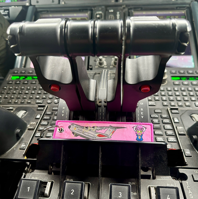 Flamme Béarn Rose « Kiss Me Before Flight » 