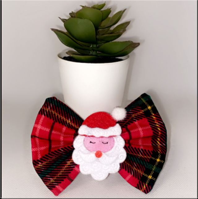 Santa paws is coming to town 