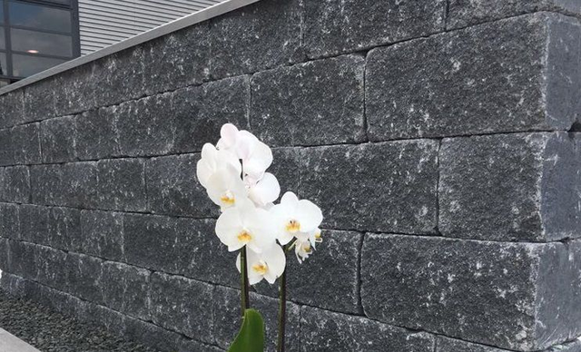 Blocchetto nero "Vercors"