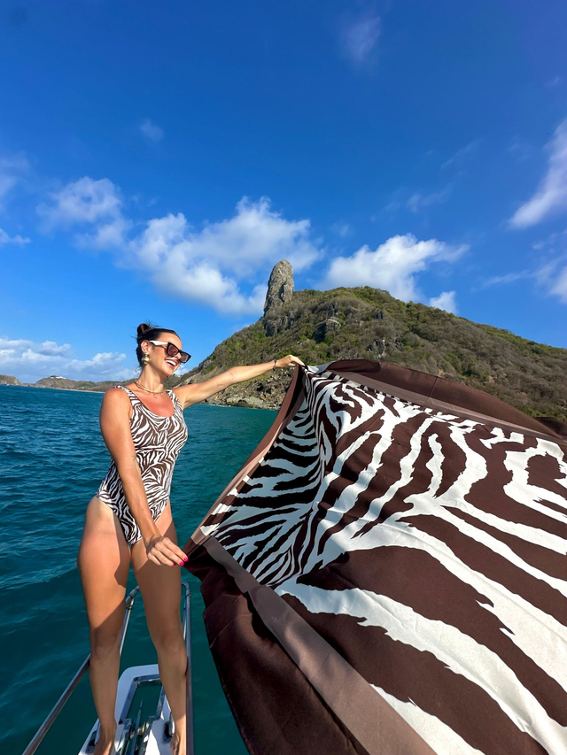 PAREÔ ZEBRA MARROM 