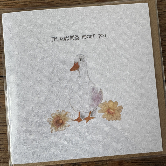 WP22 Quackers About You