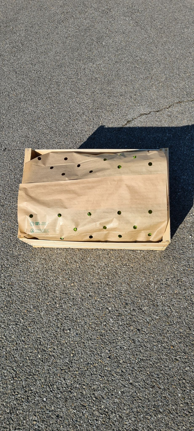 Garnitures 100% KRAFT pour caisses 60x40  dimension 58x126cm boites de 500