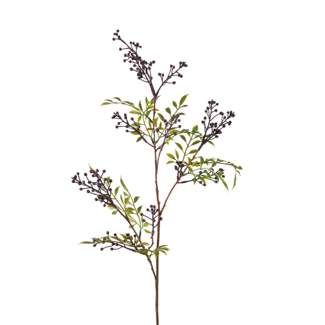 Aglaia Odorata spray paars