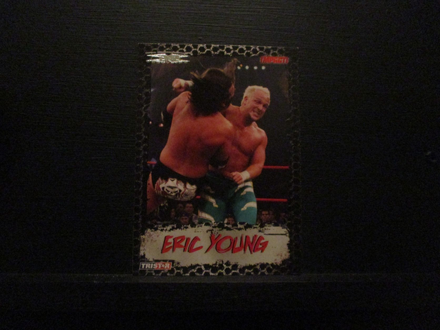 Eric Young - Tristar TNA Impact 35 Wrestling Original Trading Card #14
