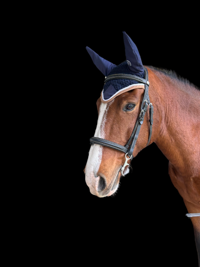 BONNET CHASSE-MOUCHES EQUITHÈME "POLYFUN"