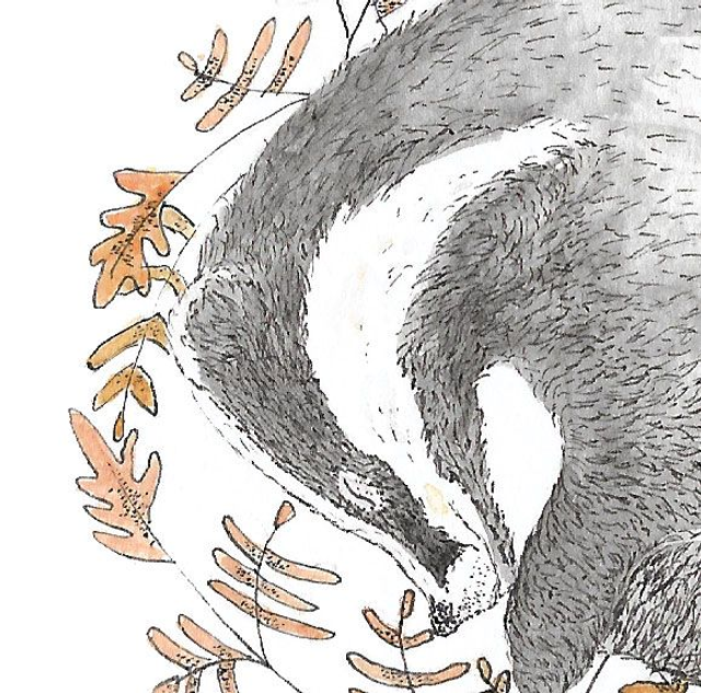 Sleeping Badger Art Print