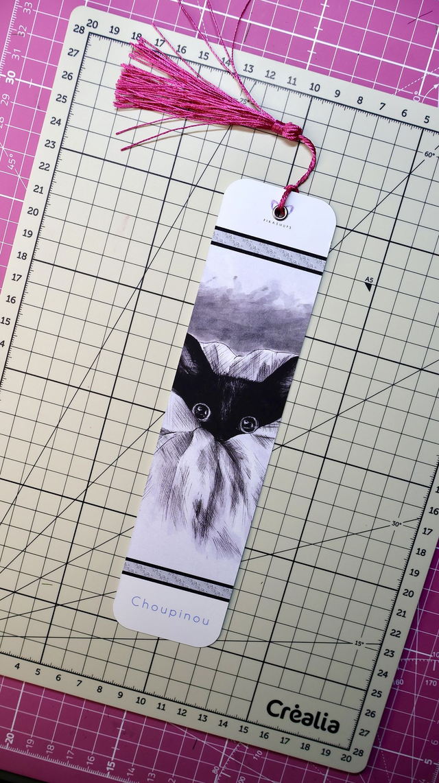 FRIPPON • SÉRIE PERSONNELLE