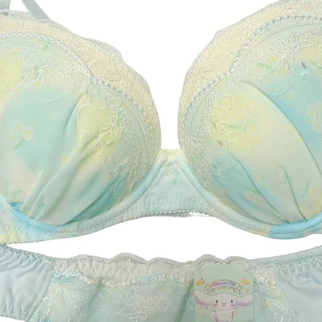 BNWT Japanese brand coquette blue and yellow daisy cinnamoroll sanrio bra and underwear set