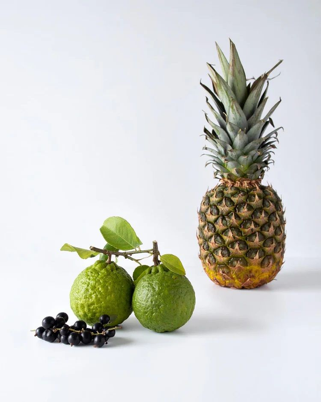 PARFUMS NOX - 214 Évoque Aventus Creed