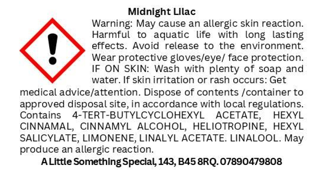 MIDNIGHT LILAC | MINI MELT