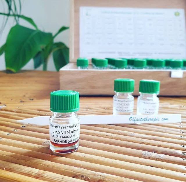 Séance de conseil personnalisé avec les plantes