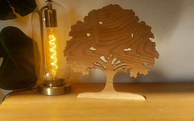 Arbre orme 