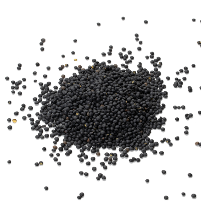 Lentille noire Béluga Bio - 7,10€/kg
