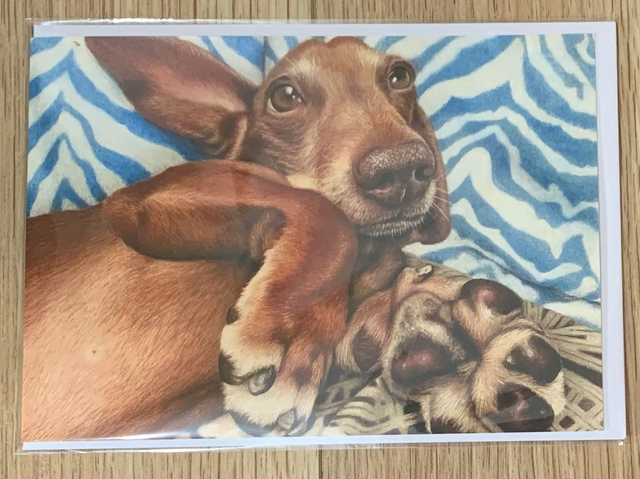 Greetings Card - Schnitzel the Dachshund - Blank Inside