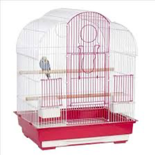 Liberta Virginia Medium  Parrot Cage 