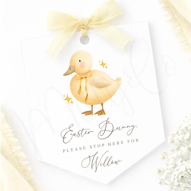 Little Duckling Pennant