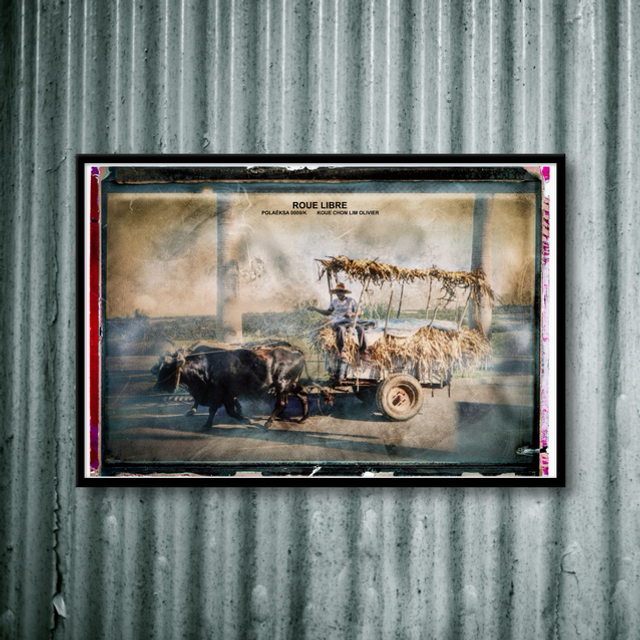 NOUVELLE SÉRIE POLAÉKSA 0009 ROUE LIBRE