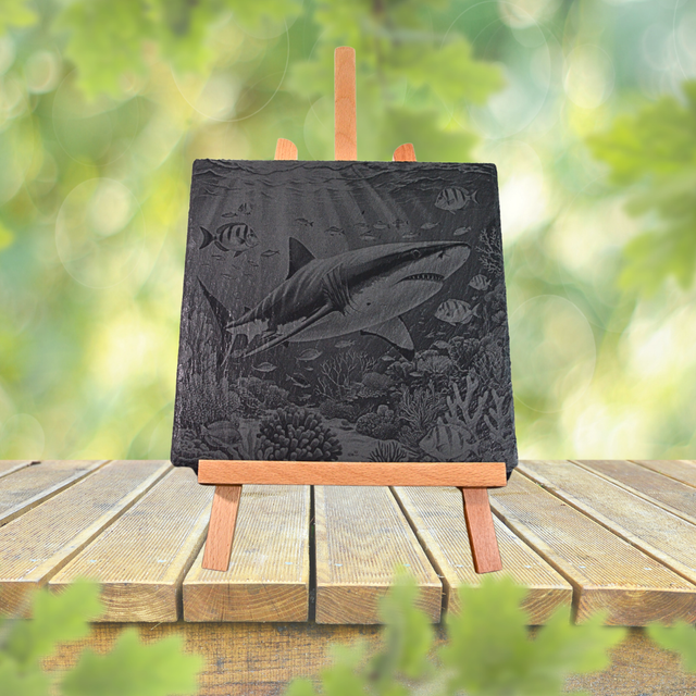 Requin Ardoise 25x25cm 