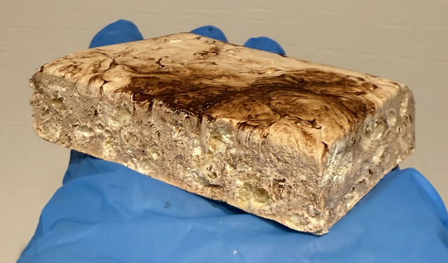 Mint Chocolate Crisp