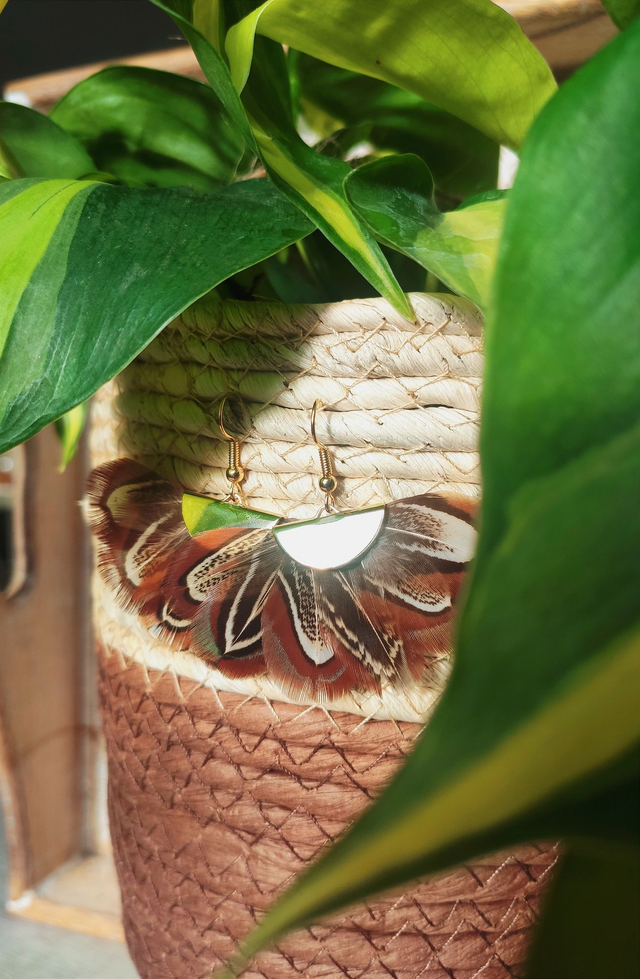 Boucles d'oreilles demi-lune Faisan de Colchide