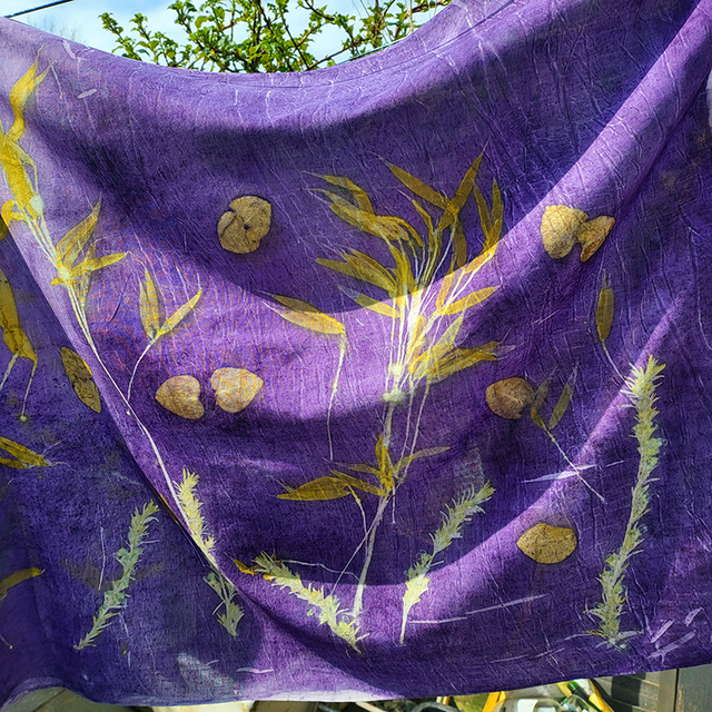 Organic Cotton Shawl - hand printed with eucalyptus, bamboo and rosemary in a blanket of logwood dye