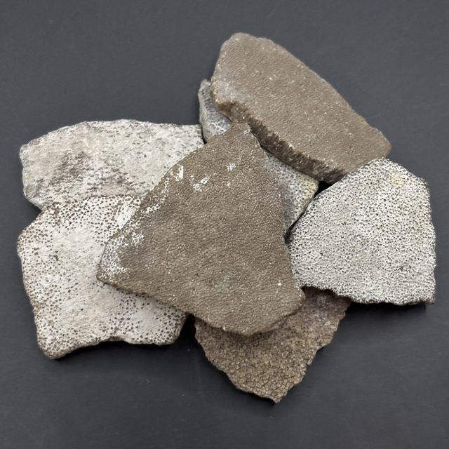 Saltasaurus Eggshell