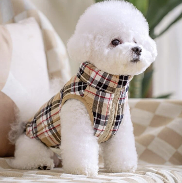 Pet cots jacket 