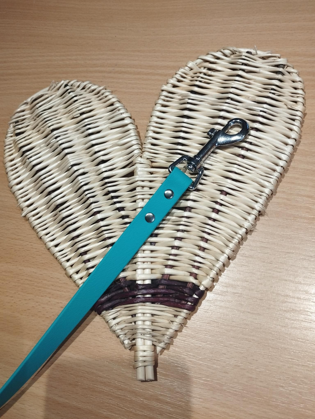 Laisse Biothane personnalisable (1,5m - 3m)