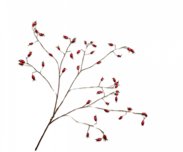 Silk-Ka Rozenbottel Tak Rood 106cm