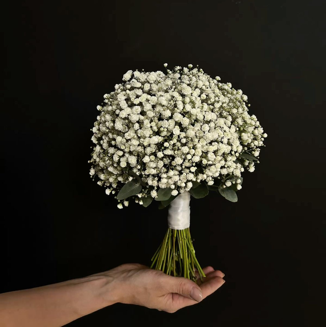 Gypsophile 