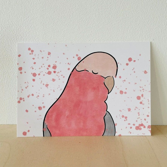 Ansichtkaart roos kaketoe, 10 x 15 cm