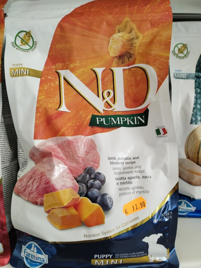 N&amp;D PUMPKIN OCEAN MINI PUPPY 
