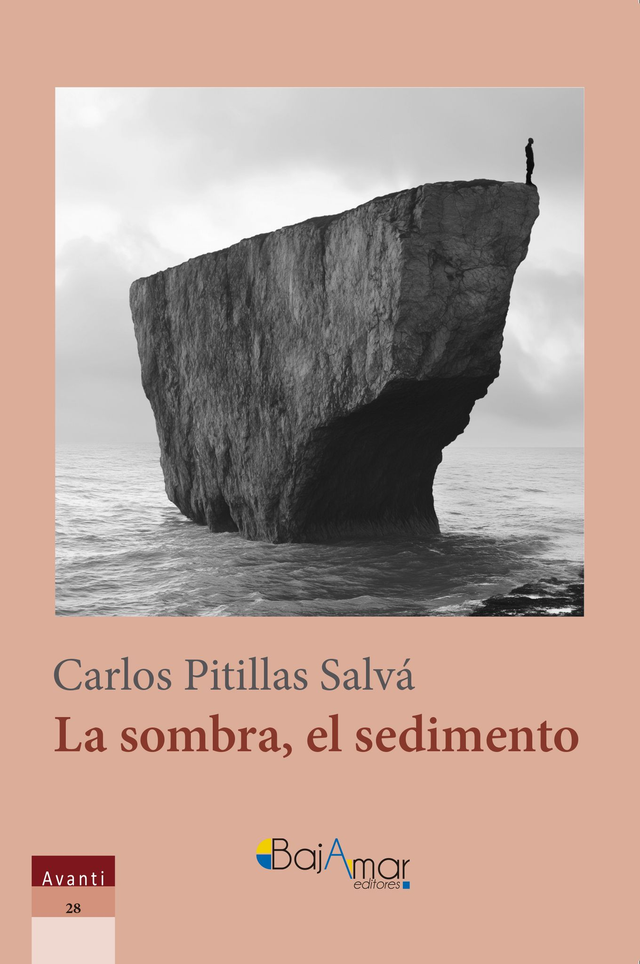 LIBRO LA SOMBRA, EL SEDIMENTO DE CARLOS PITILLAS SALVÁ-BAJAMAR EDITORES-