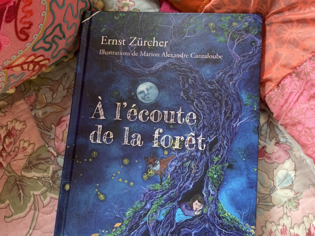 A l’écoute de la forêt 